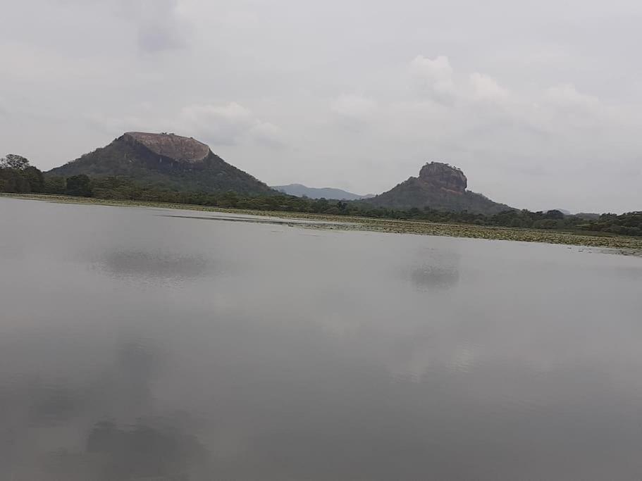 Sigiriya Village Home Stay Экстерьер фото