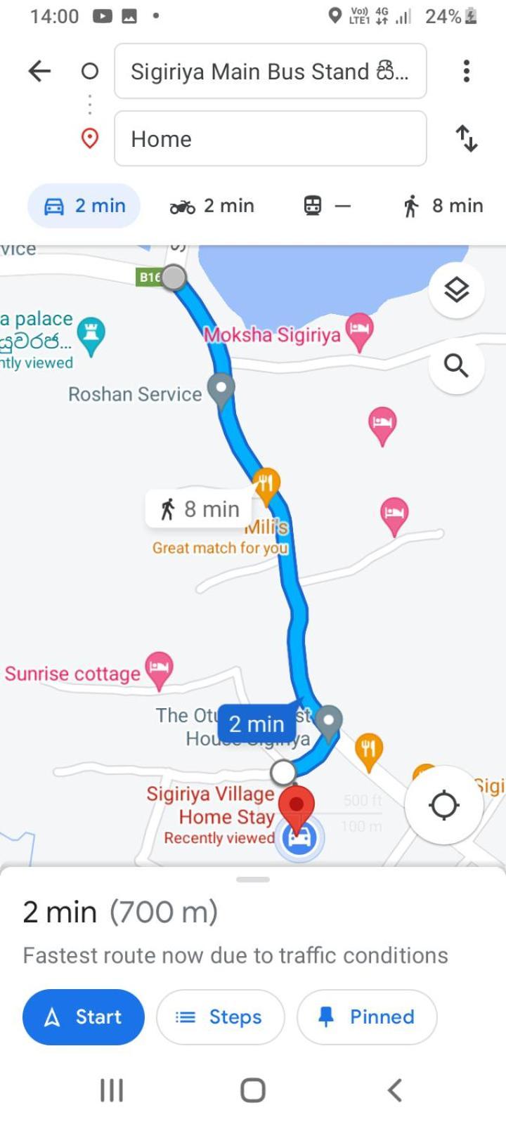Sigiriya Village Home Stay Экстерьер фото